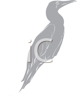 Duck Clipart