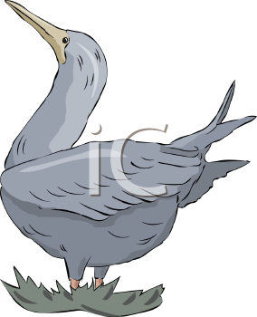 Geese Clipart