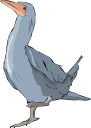 Geese Clipart