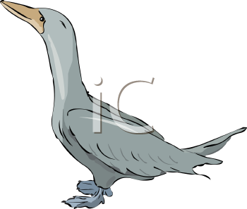 Geese Clipart