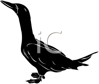 Geese Clipart