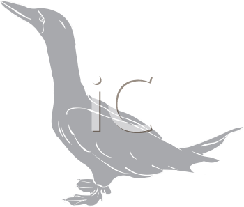Geese Clipart