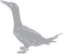 Geese Clipart