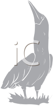 Geese Clipart