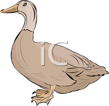 Geese Clipart