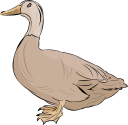 Geese Clipart