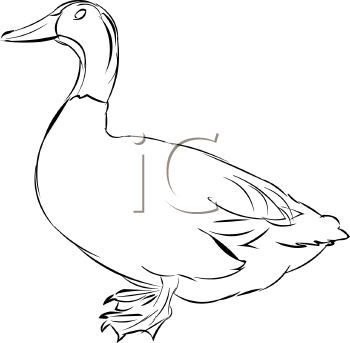 Geese Clipart