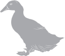 Geese Clipart