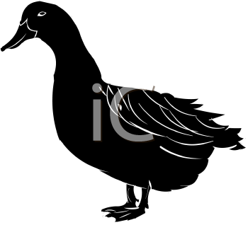 Geese Clipart