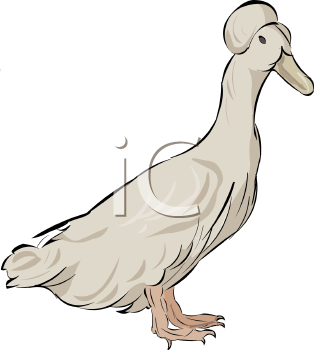 Geese Clipart