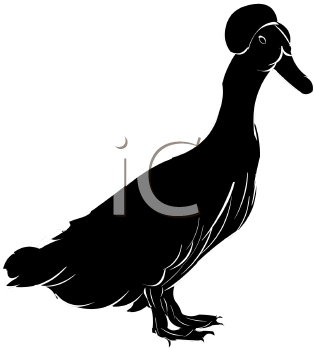 Geese Clipart