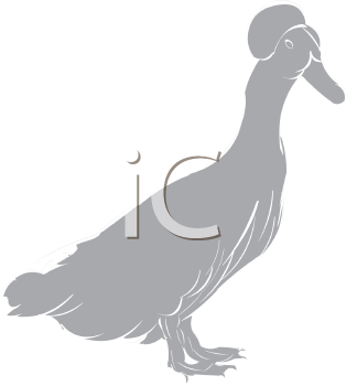 Geese Clipart