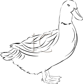 Geese Clipart