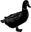Geese Clipart
