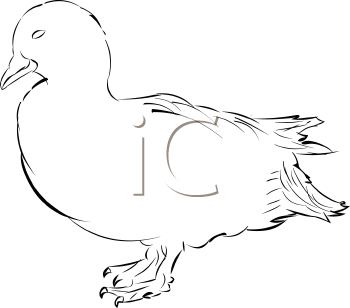 Geese Clipart