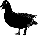 Geese Clipart