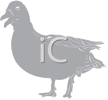 Geese Clipart