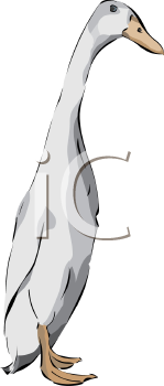 Geese Clipart