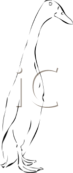 Geese Clipart