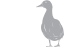Geese Clipart