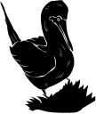 Geese Clipart