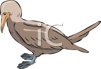 Geese Clipart