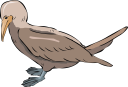 Geese Clipart