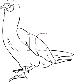 Geese Clipart
