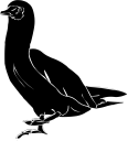 Geese Clipart