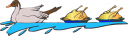 Duck Clipart