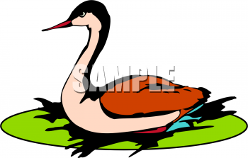 Geese Clipart