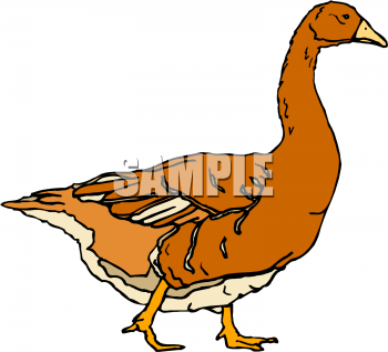 Geese Clipart