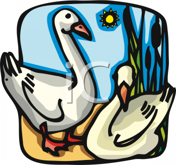 Grass Clipart