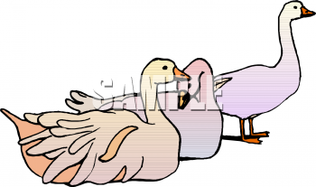 Geese Clipart