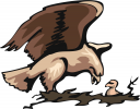 Eagle Clipart