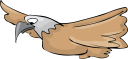 Eagle Clipart