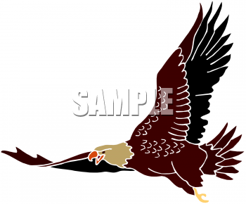 Eagle Clipart