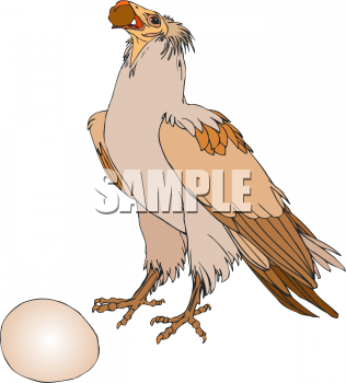 Eagle Clipart