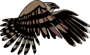 Eagle Clipart