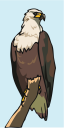 Eagle Clipart