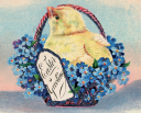 Chicken Clipart