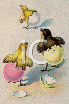 Easter Egg Clipart
