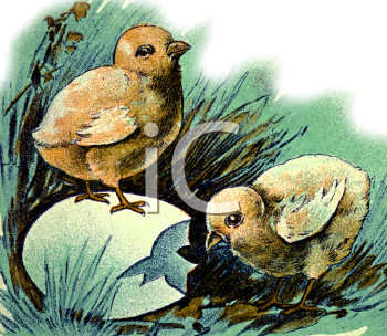 Grass Clipart