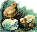 Grass Clipart