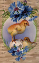 Easter Egg Clipart