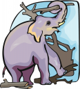 Elephant Clipart