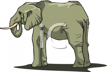 Elephant Clipart