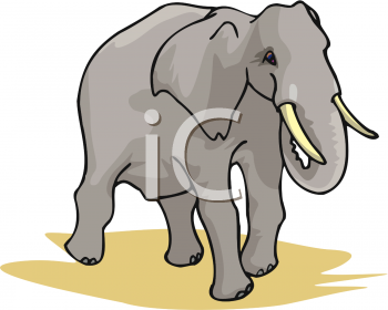 Elephant Clipart