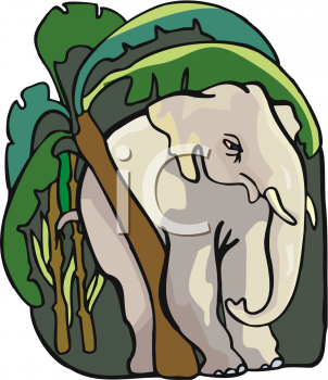 Elephant Clipart
