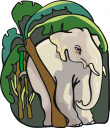 Elephant Clipart